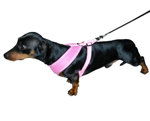Premium Soft Mesh Dog Harness for Puppies & Small Dogs - Medium Size, Red - Adjustable & Breathable for Walking, Hiking & Travel