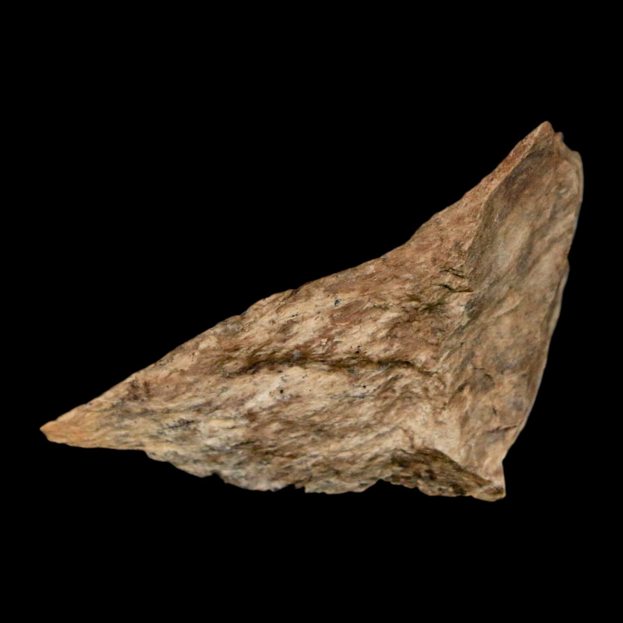 1.6