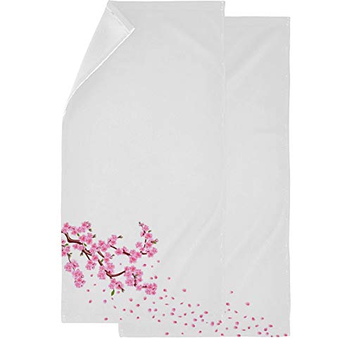 Cherry Blossom