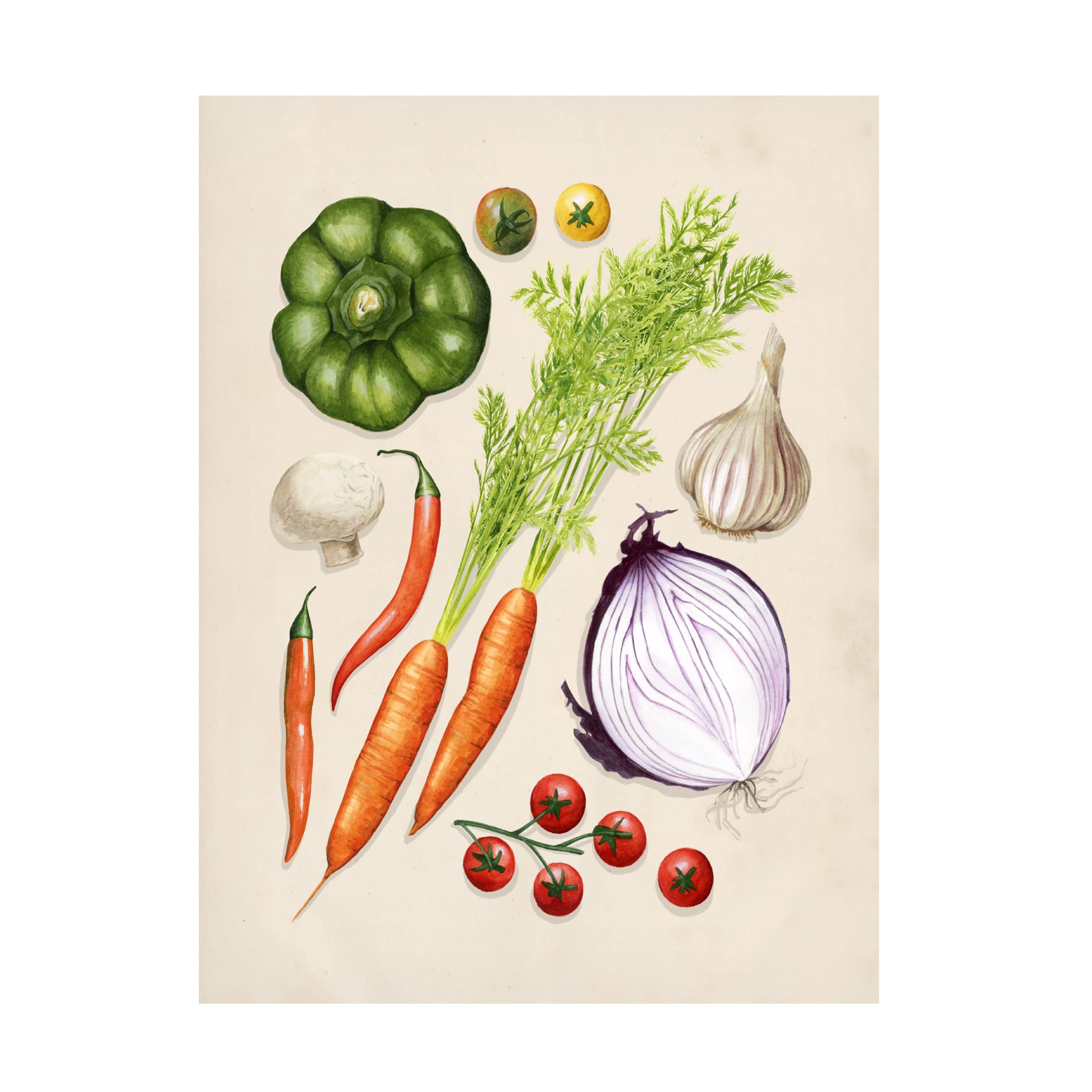 Grace Popp Vegetable Garden II Canvas Art Print - Modern Floral Wall Decor for Living Room, Bedroom & Office - Trademark Fine Art Collection