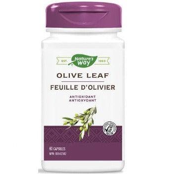 Nature's Way Olive Leaf Extract 60 Capsules - Immune Support Supplement for Daily Wellness & Antioxidant Benefits