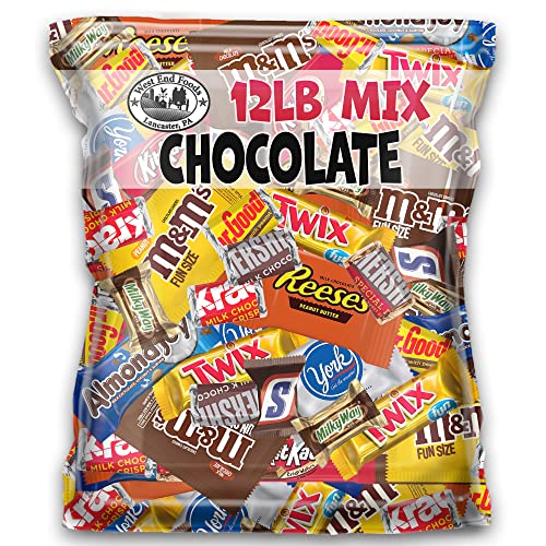 12 Pound Bulk Mini Chocolate Bars Variety Pack - Assorted Milk Chocolate Candy Mix for Parties, Gifts & Snacking | Perfect for Halloween, Christmas & Office Treats