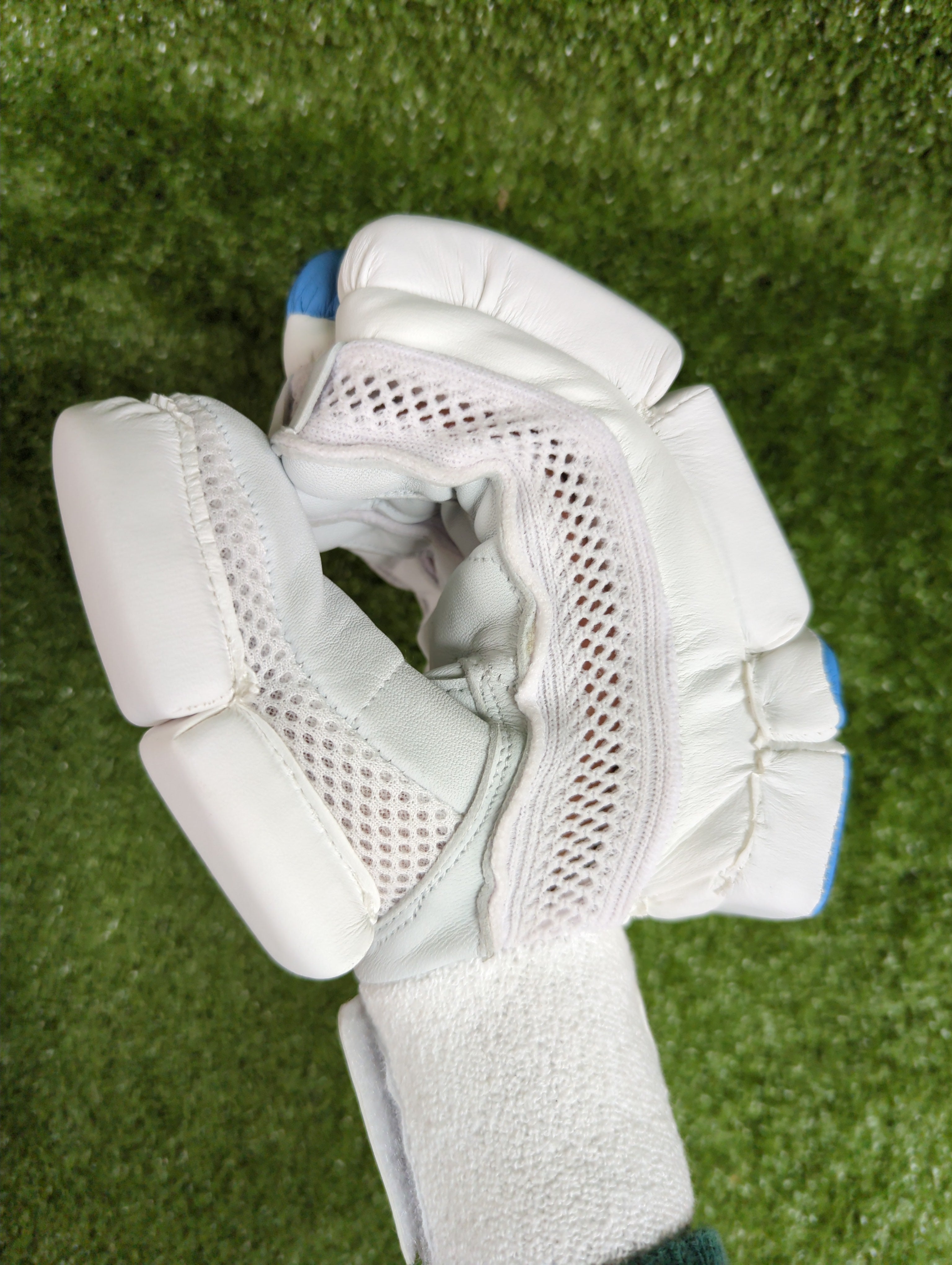 Raydn Master Junior/Youth Cricket Batting Gloves - Lightweight Protective Gear for Young Players - Perfect for Practice, Training & Matches