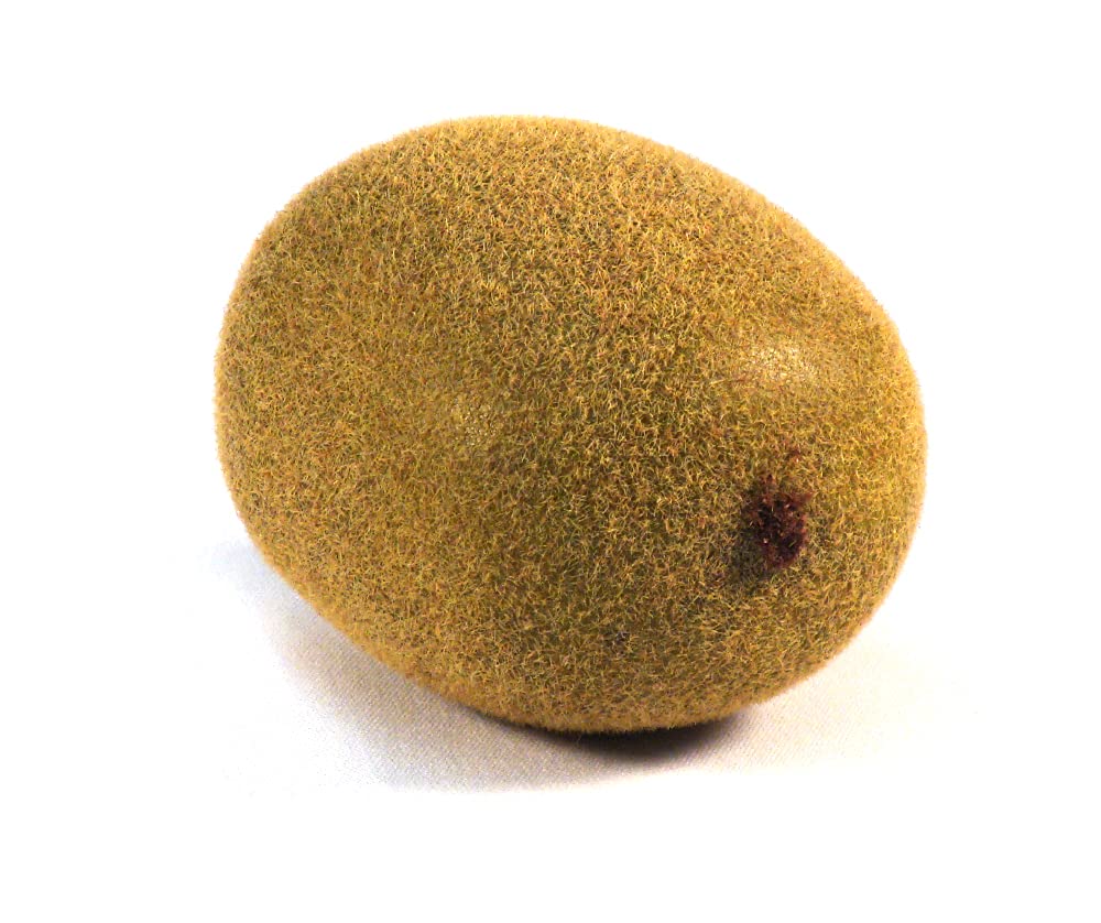 6-Pack Artificial Kiwi Fruit - Realistic Round Plastic Kiwifruit Decor for Vase Fillers, Table Centerpieces, and Home Decor