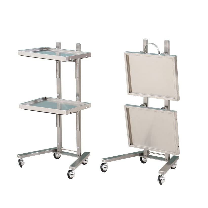 2-Tier Stainless Steel Rolling Cart with Wheels - Heavy Duty Metal Utility Trolley for Salon, Kitchen, Bedroom & Tattoo Shop Storage | Mobile Organizer for Beauty Supplies, Cooking Utensils & Home Essentials (Silver)