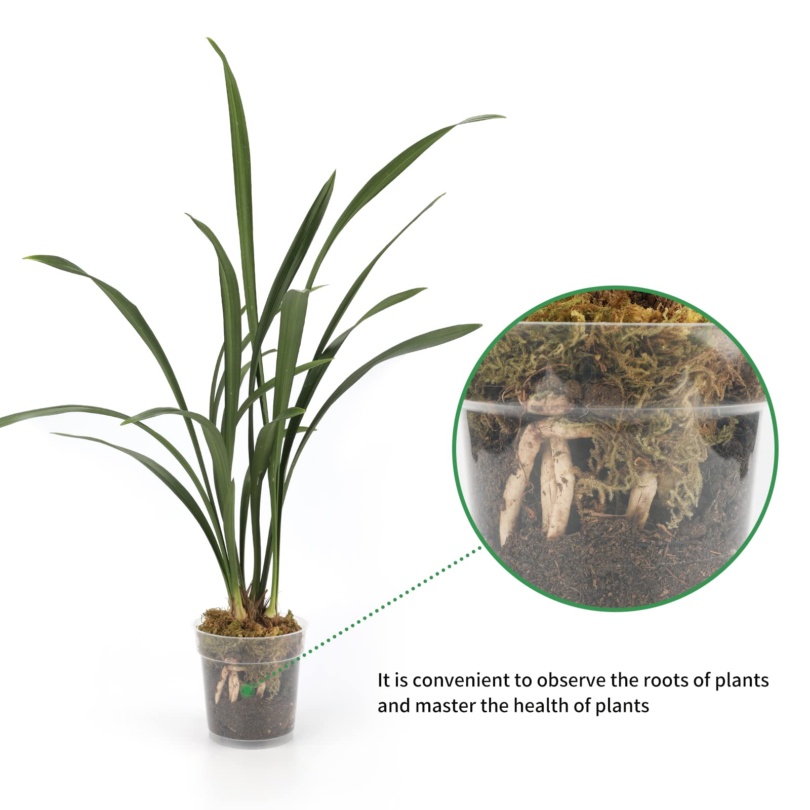 KINGLAKE 4.5 Inch Clear Plastic Orchid Pots with Drainage Holes - 16 Pack Reusable Planters for Orchid Repotting, Seedlings & Indoor Gardening | Perfect for Home, Office & Greenhouse Use