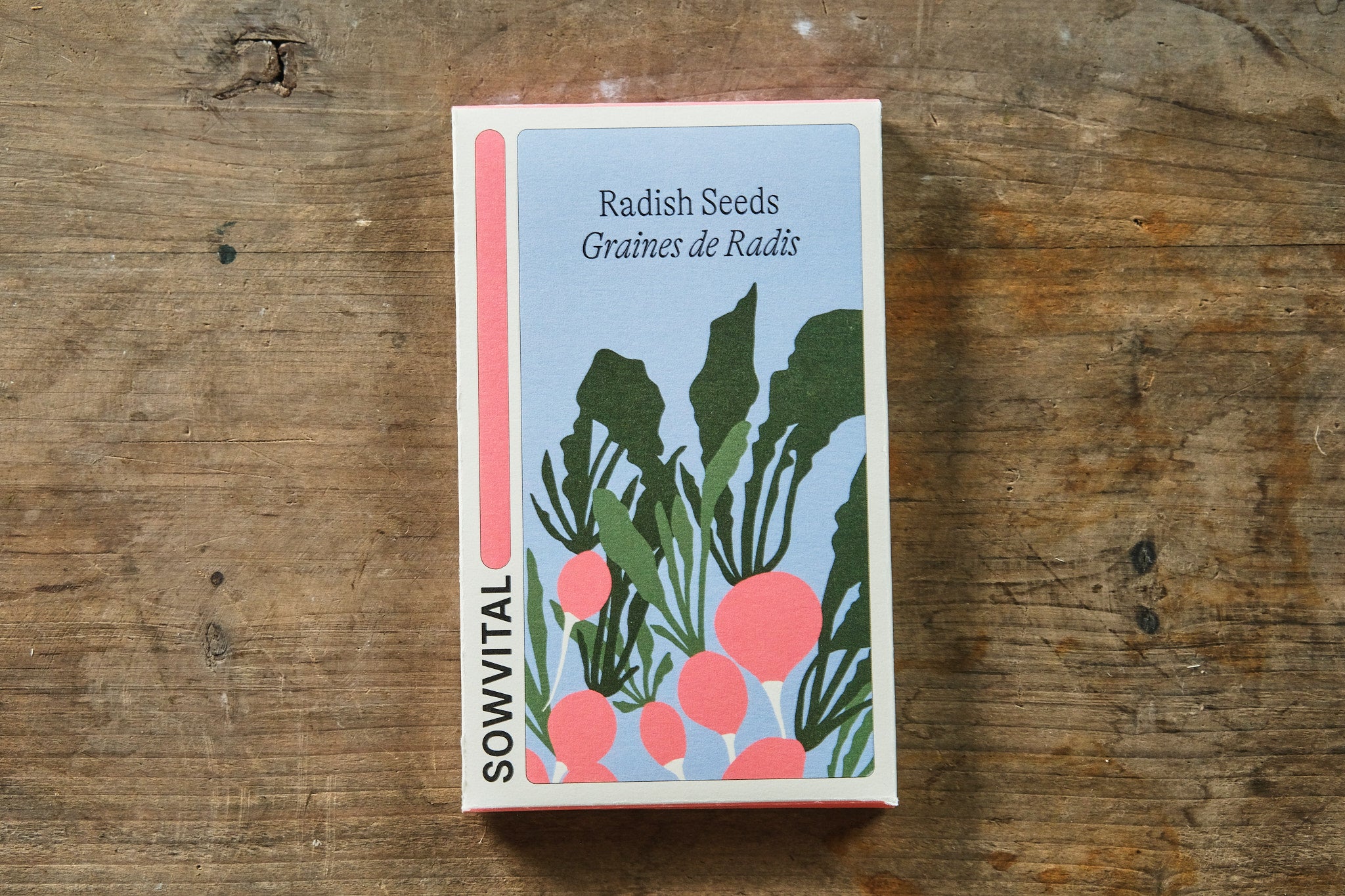 Organic Radish Seeds for Planting - Non-GMO, Heirloom Variety - Fast Growing, High Yield Vegetable Seeds for Home Garden, Raised Beds & Container Gardening