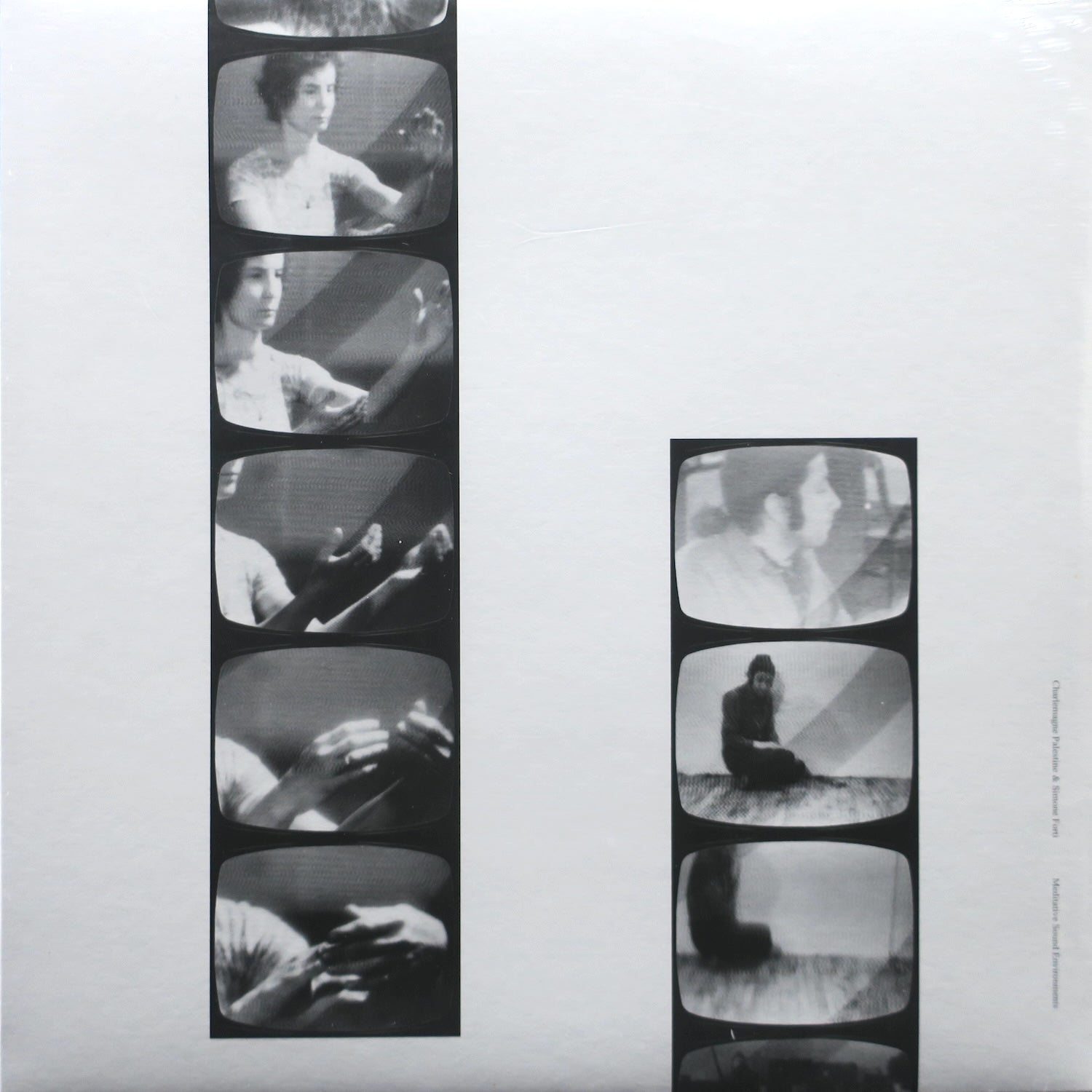 CHARLEMAGNE PALESTINE & SIMONE FORTI 'Meditative Sound Environments' Vinyl LP (2021 Classical/Minimal) - Relaxing Music for Yoga, Meditation & Study