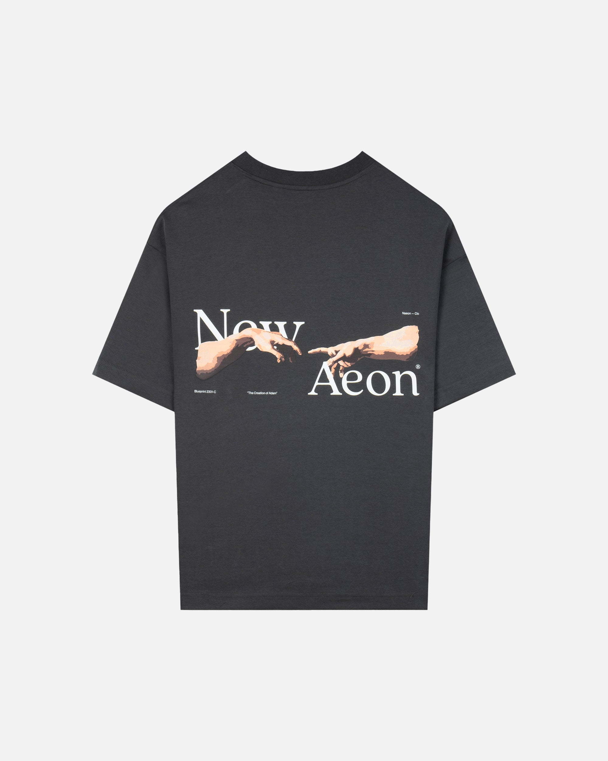 NAEON Creation of Adam Heavyweight T-Shirt - Premium Basalt Cotton Tee for Men | Art-Inspired Casual Wear & Street Fashion