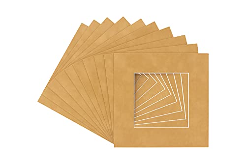 Thicket Suede