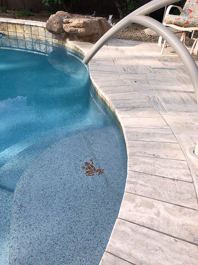 Small Frog Ceramic Swimming Pool Mosaic Tile - 6 Inch Olive Green Decorative Tile for Pools, Bathrooms & Outdoor Decor