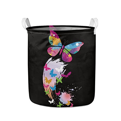 Colorful Butterfly