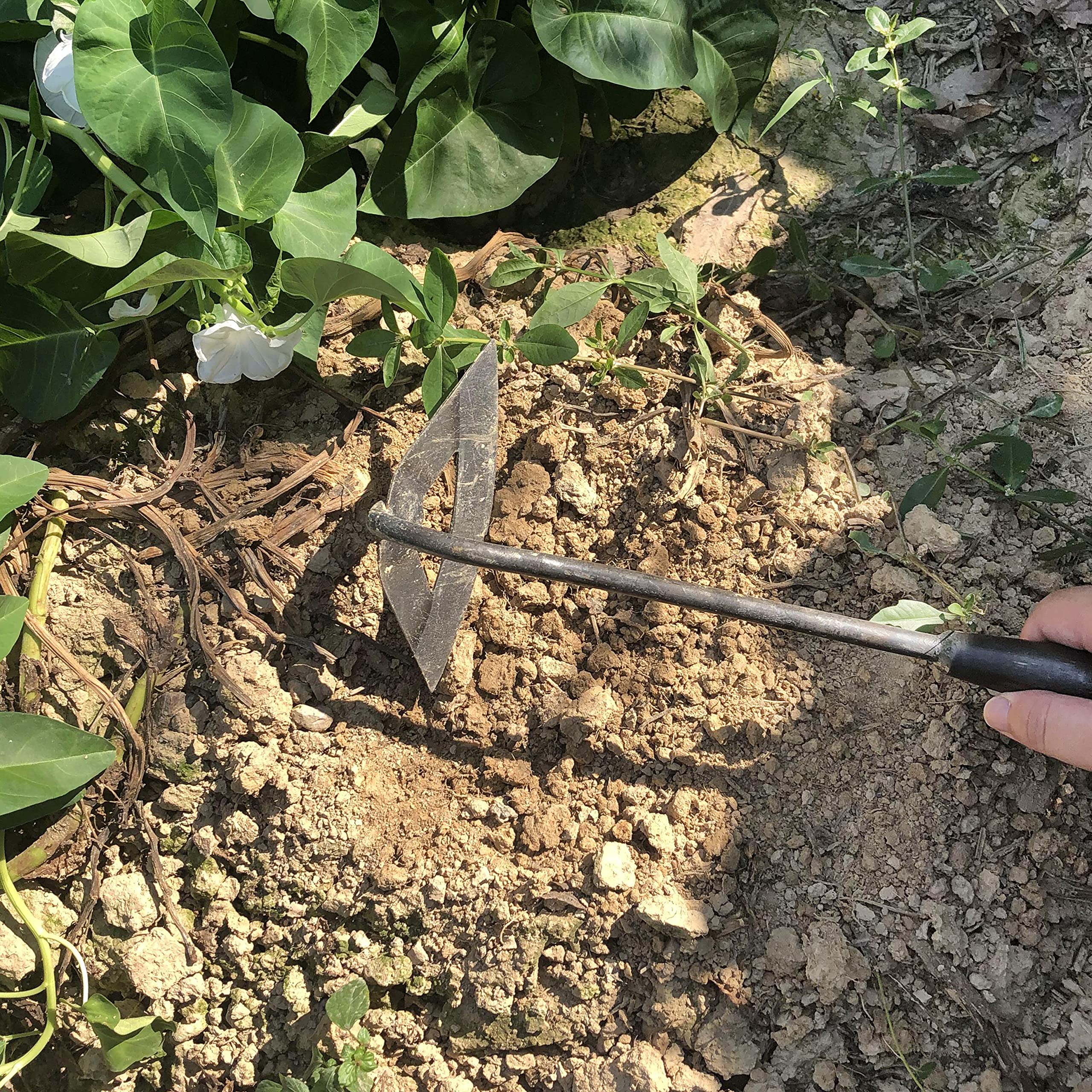 **Premium Gardening Tool Set - Heavy Duty Weeder, Garden Hoe & Weed Removal Tool with Sharp Blade - Includes Quick Weeder & Durable Gardening Gloves (Hollow Hoe + Weeding Sickle) - Perfect for Lawn Care, Flower Beds & Vegetable Gardens**