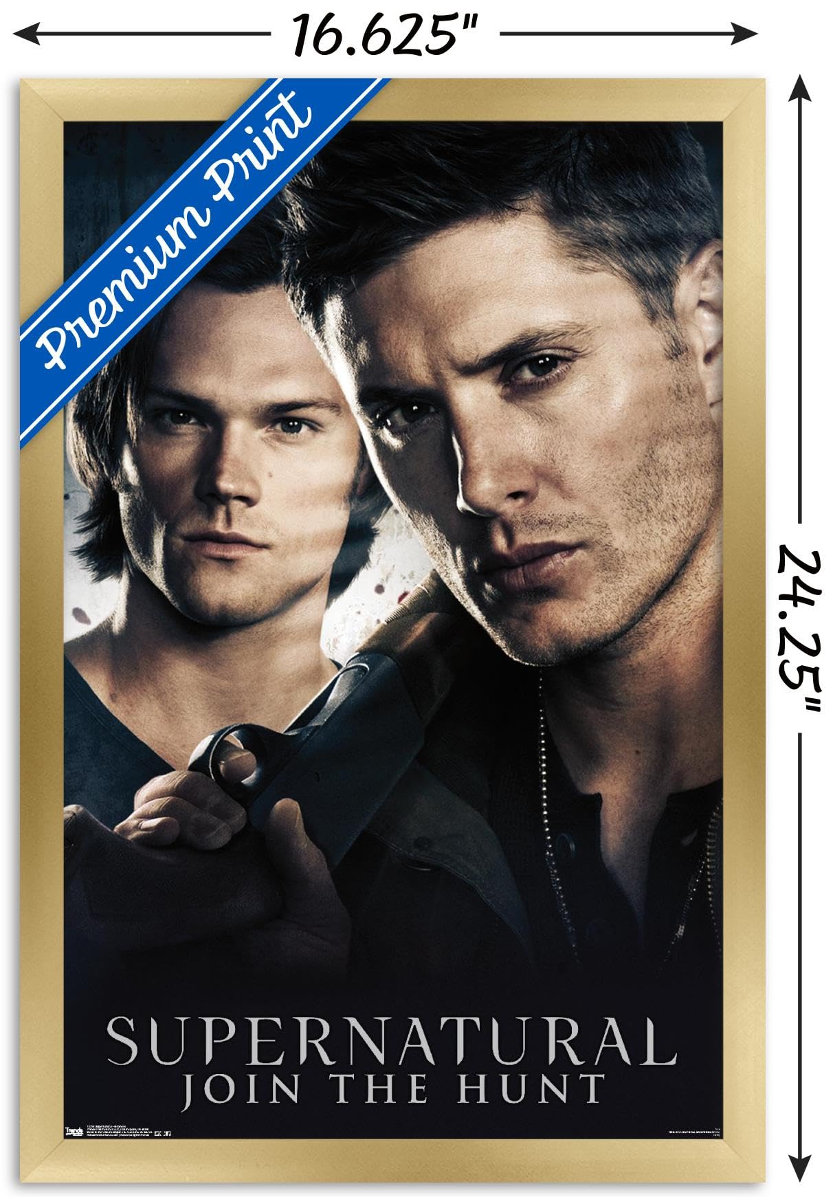Trends International Supernatural Brothers Wall Poster - 14.725 x 22.375 Inches Gold Framed Art Print | Perfect for Home Decor, Bedroom, Office & Gift for TV Show Fans