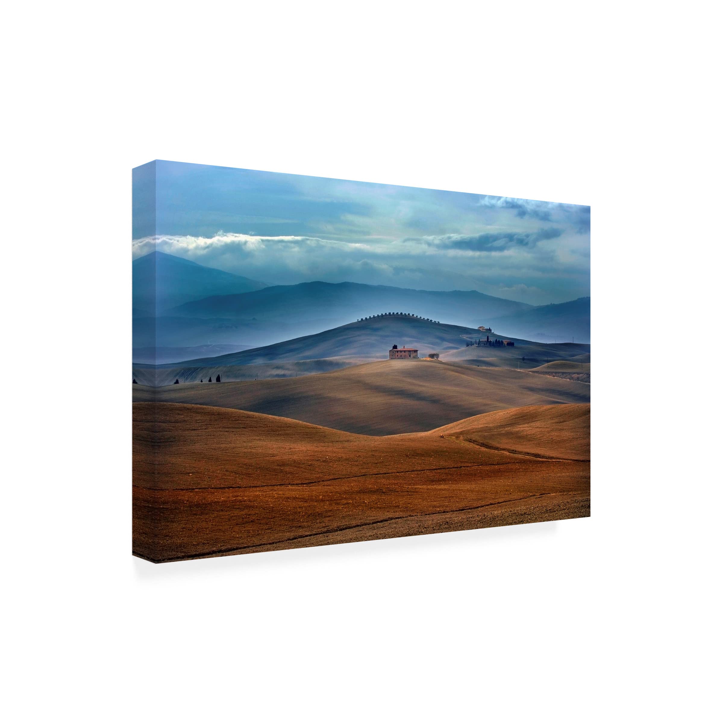 Trademark Fine Art 'In The Middle Of' Canvas Wall Art by Jure Kravanja - Modern Abstract Painting for Living Room, Bedroom & Office Decor