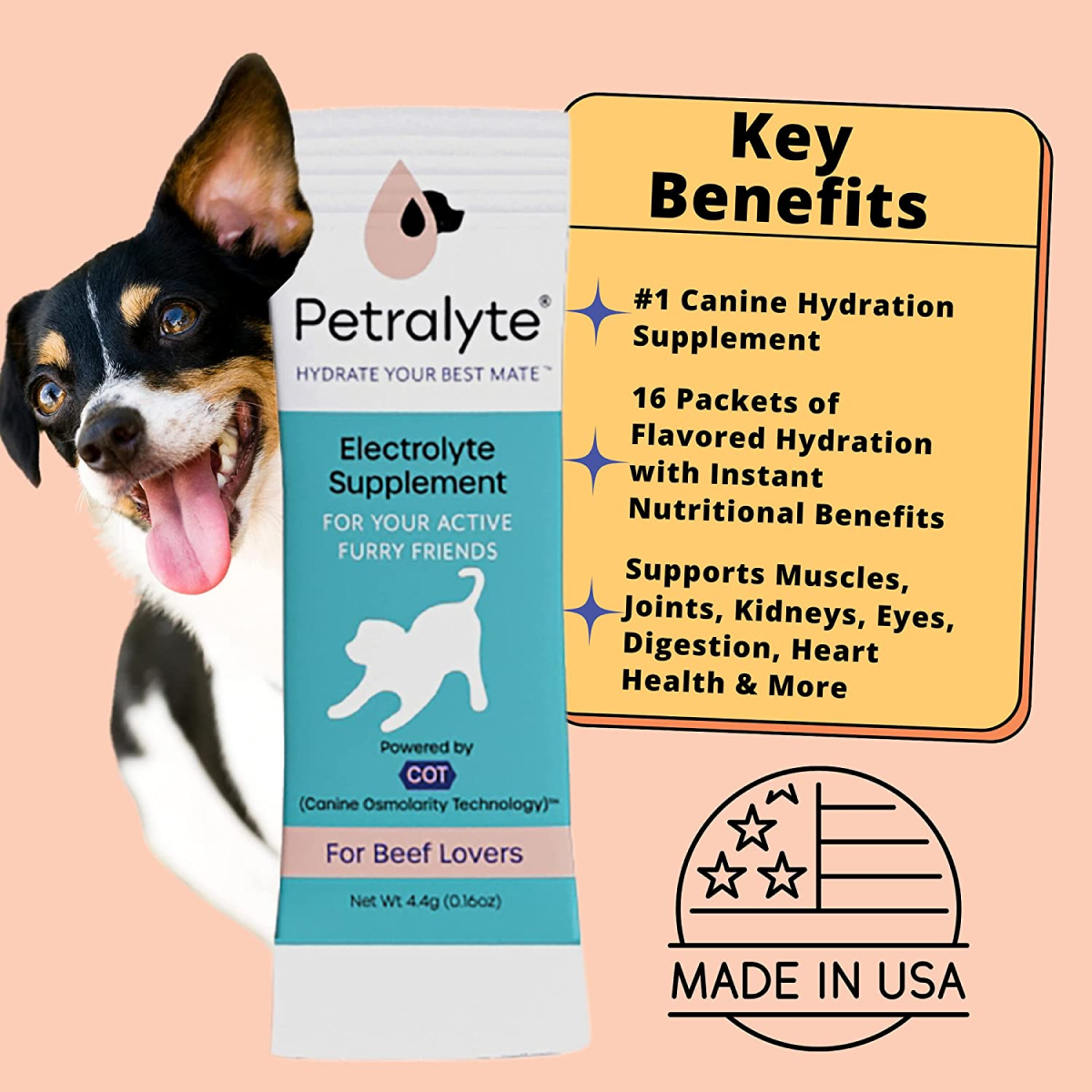 Premium Dog Electrolyte & Joint Support Supplement - Beef Flavor for Active Dogs | Post-Workout Recovery & Senior Dog Mobility Aid