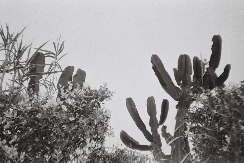 DUBBLEFILM DAILY B&W 35mm Film - 36 Exposures, ISO 400 - Perfect for Street Photography & Vintage Camera Enthusiasts