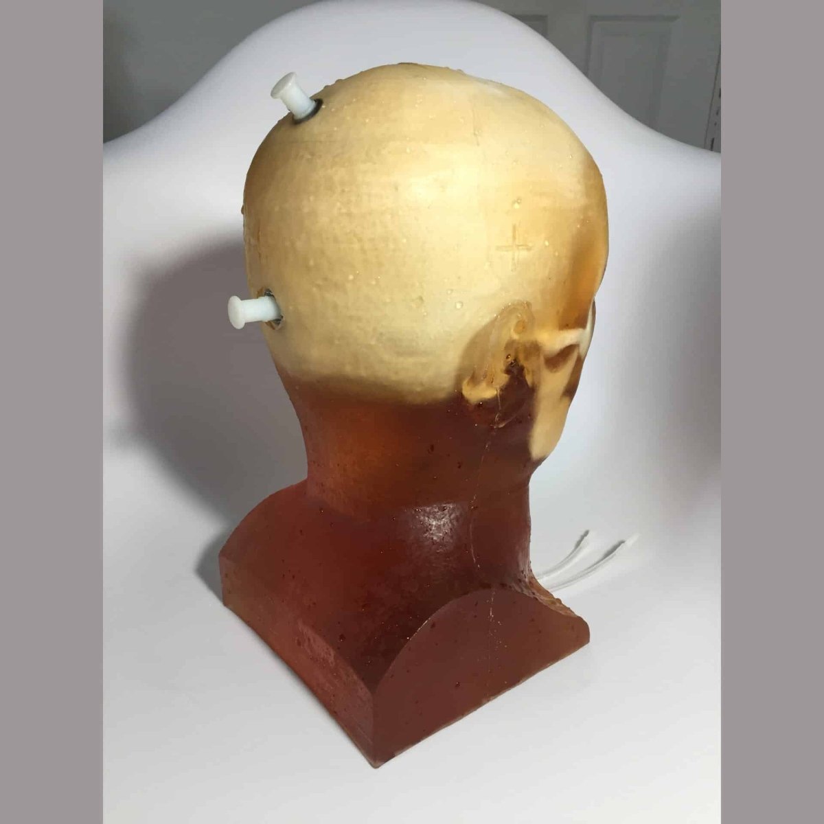 Hematoma Adult Head Phantom for X-Ray, CT, Ultrasound & MRI Training - Medical Imaging Practice for Radiology Students and Professionals