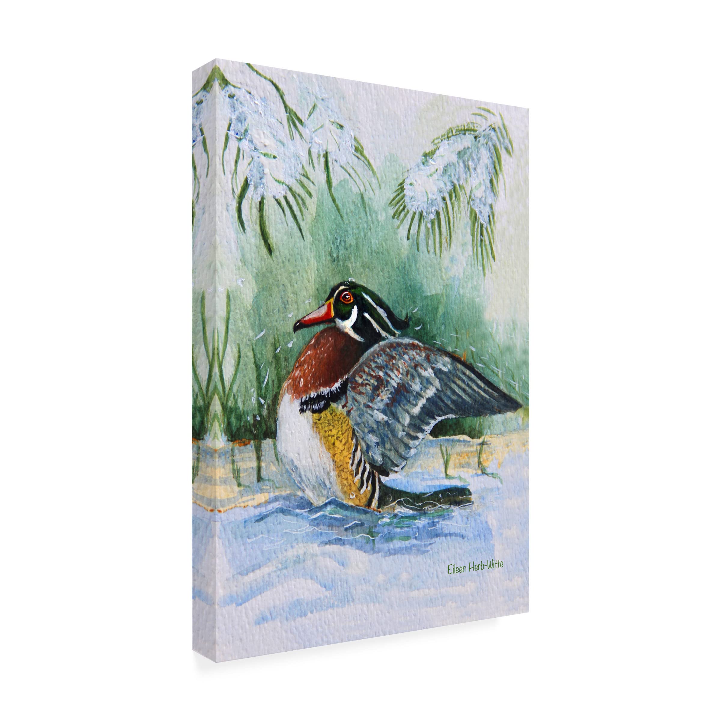 Trademark Fine Art 'Wooduck' Canvas Art by Eileen Herb-Witte - Hand-Painted Duck Wall Decor for Living Room, Bedroom & Office