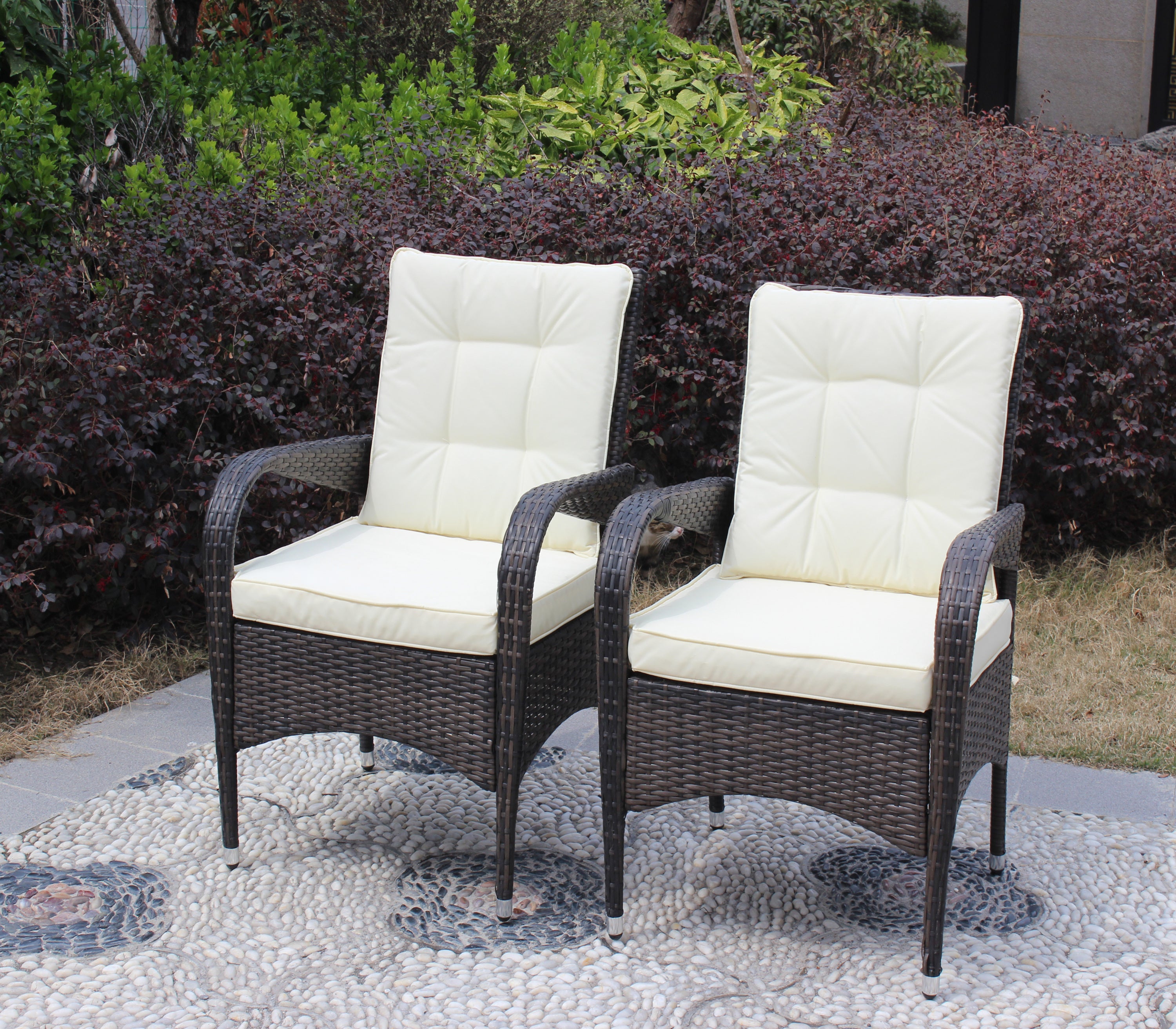 2 Piece Liberatore Dining Chairs with Beige Cushions - Modern Kitchen & Dining Room Furniture Set for Home Decor