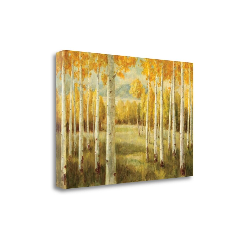 Aspens By Danhui Nai - Premium Giclee Art Print on Gallery Wrapped Canvas, Ready to Hang Wall Decor for Living Room, Bedroom & Office