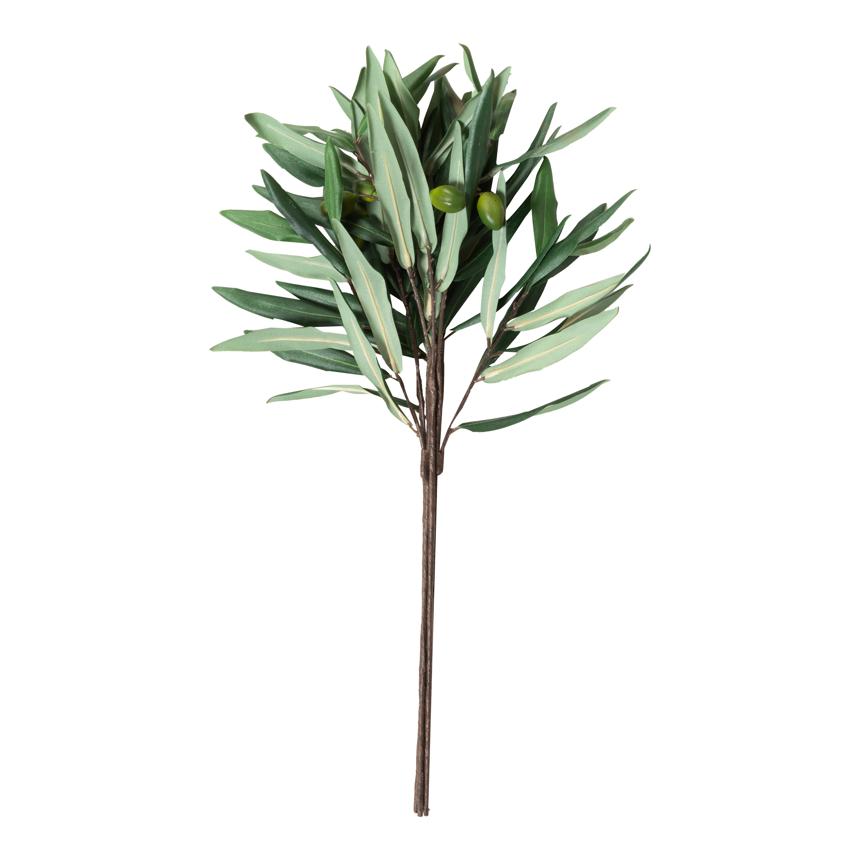 Olive Branch Essential Oil - 100% Pure & Natural for Aromatherapy, Massage, and Relaxation | Perfect for Diffusers, Skincare, and Stress Relief