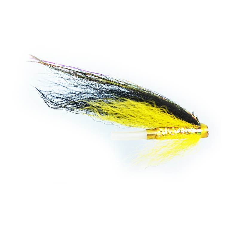 Caledonia Black & Yellow Loop Tube Fly - Premium Fishing Lure for Trout & Salmon - Perfect for Fly Fishing in Rivers & Streams