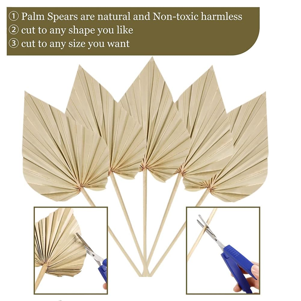 20Pcs Boho Dried Palm Spears Leaves - Natural Small Dried Palm Fans with Stems for Home Decor, Wedding Centerpieces, Vase Fillers and Tropical Themed Party Decorations