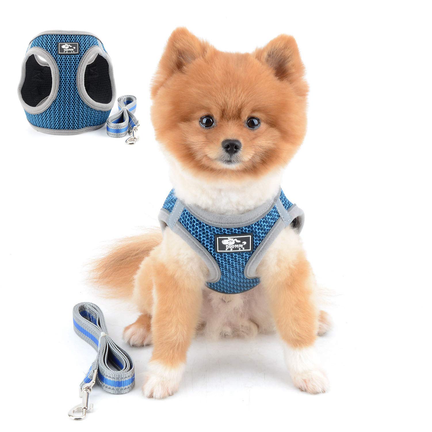 SELMAI Reflective Cat Harness and Leash Set - Escape Proof No Pull Adjustable Soft Mesh Vest for Small Dogs, Medium Cats, Puppies & Chihuahuas - Pet Training Walking Gear with 1.5m Blue Leash - Perfect for Night Walks, Outdoor Adventures & Pet Safety