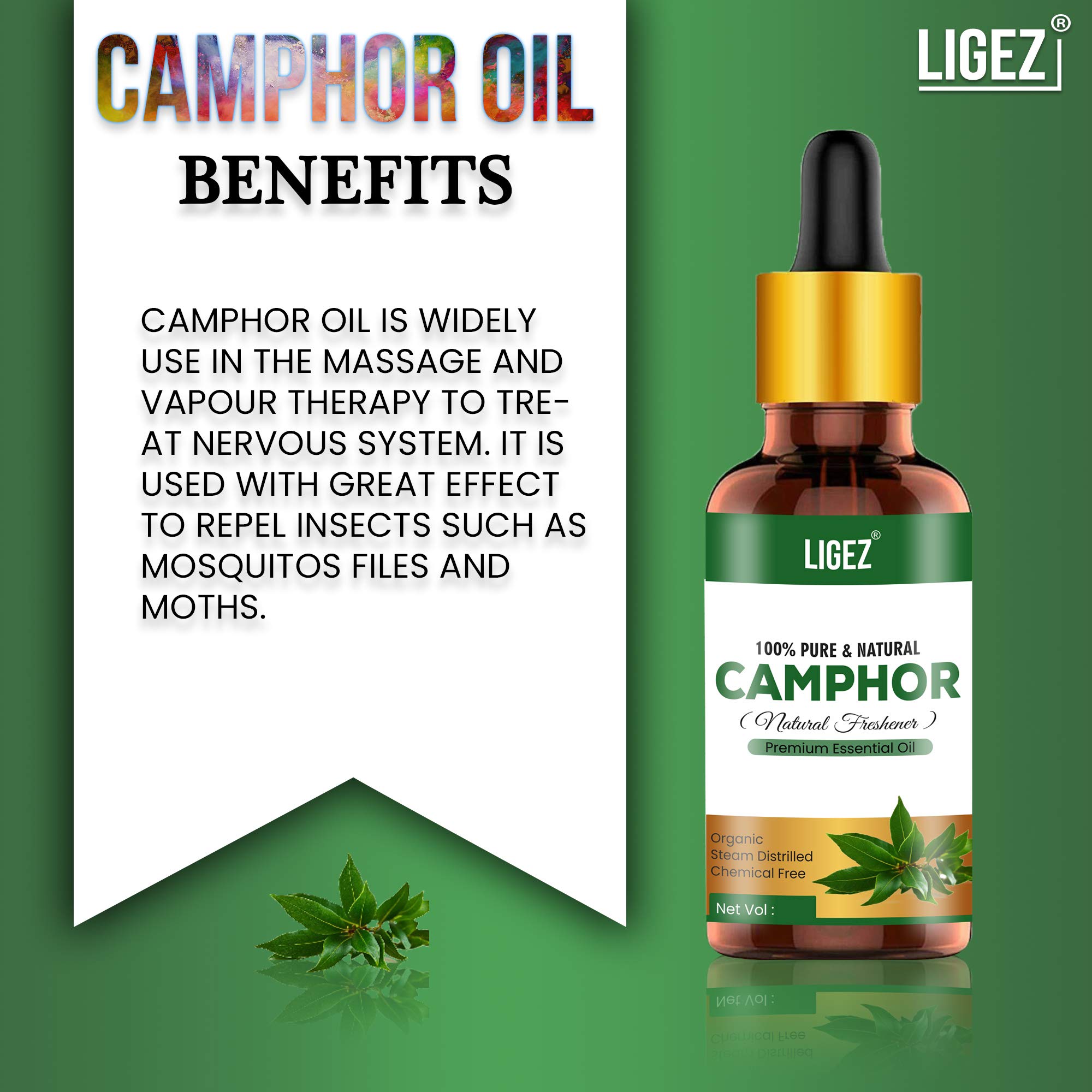 **Ligez Pure Natural Camphor Essential Oil - 100% Therapeutic Grade for Skin Care, Hair Growth & Aromatherapy (2-Pack, 30ml Each) - Perfect for Massage, Relaxation & DIY Beauty Recipes**