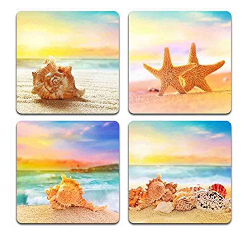 Beach Shells