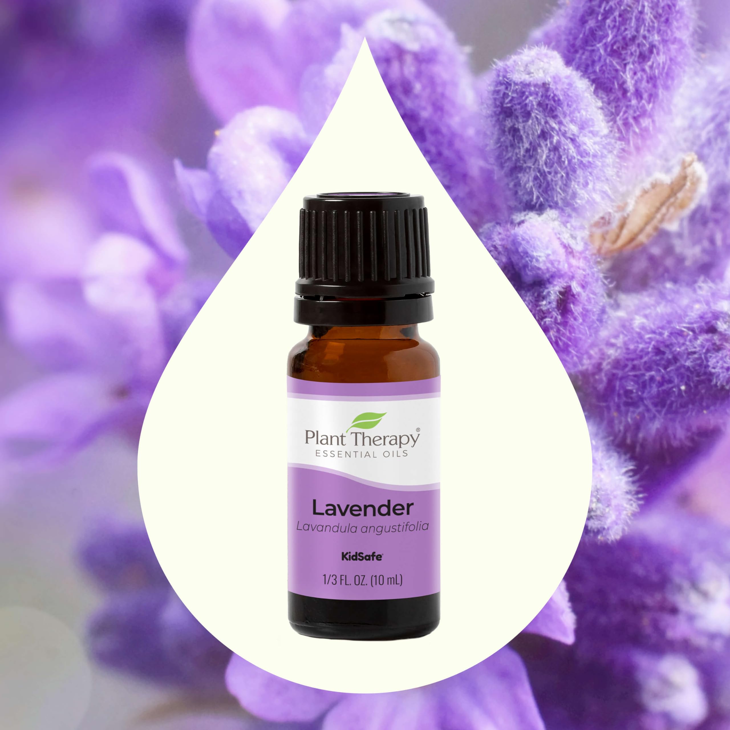 Plant Therapy Lavender Essential Oil 100% Pure & Undiluted - Therapeutic Grade Aromatherapy Oil for Relaxation, Sleep, Skin & Hair Care - 10mL (1/3 oz) - Perfect for Diffusers, Massage & DIY Beauty Products