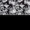 Black / Seashells