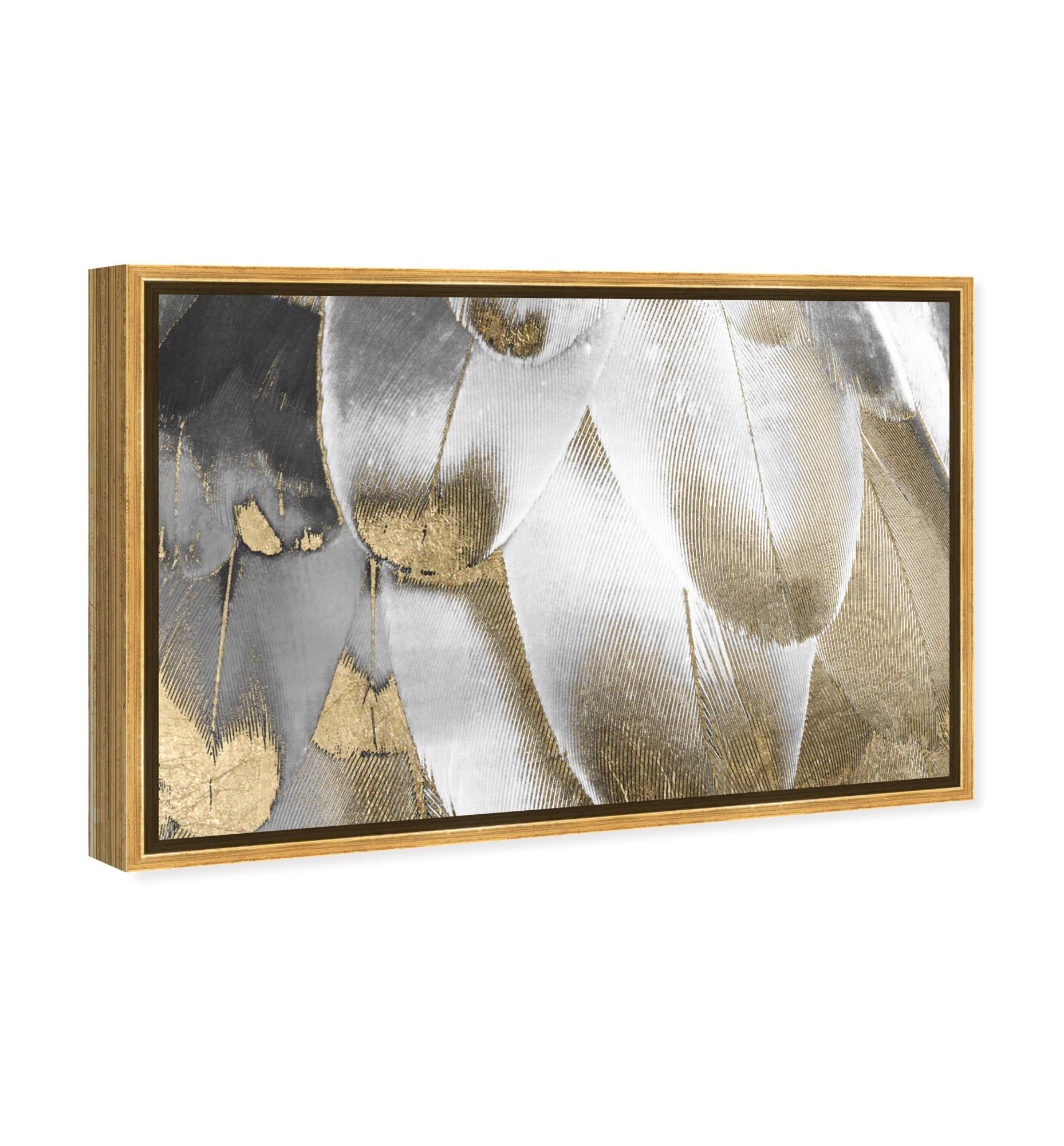 Royal Feathers Framed Wall Art Canvas Print - 36