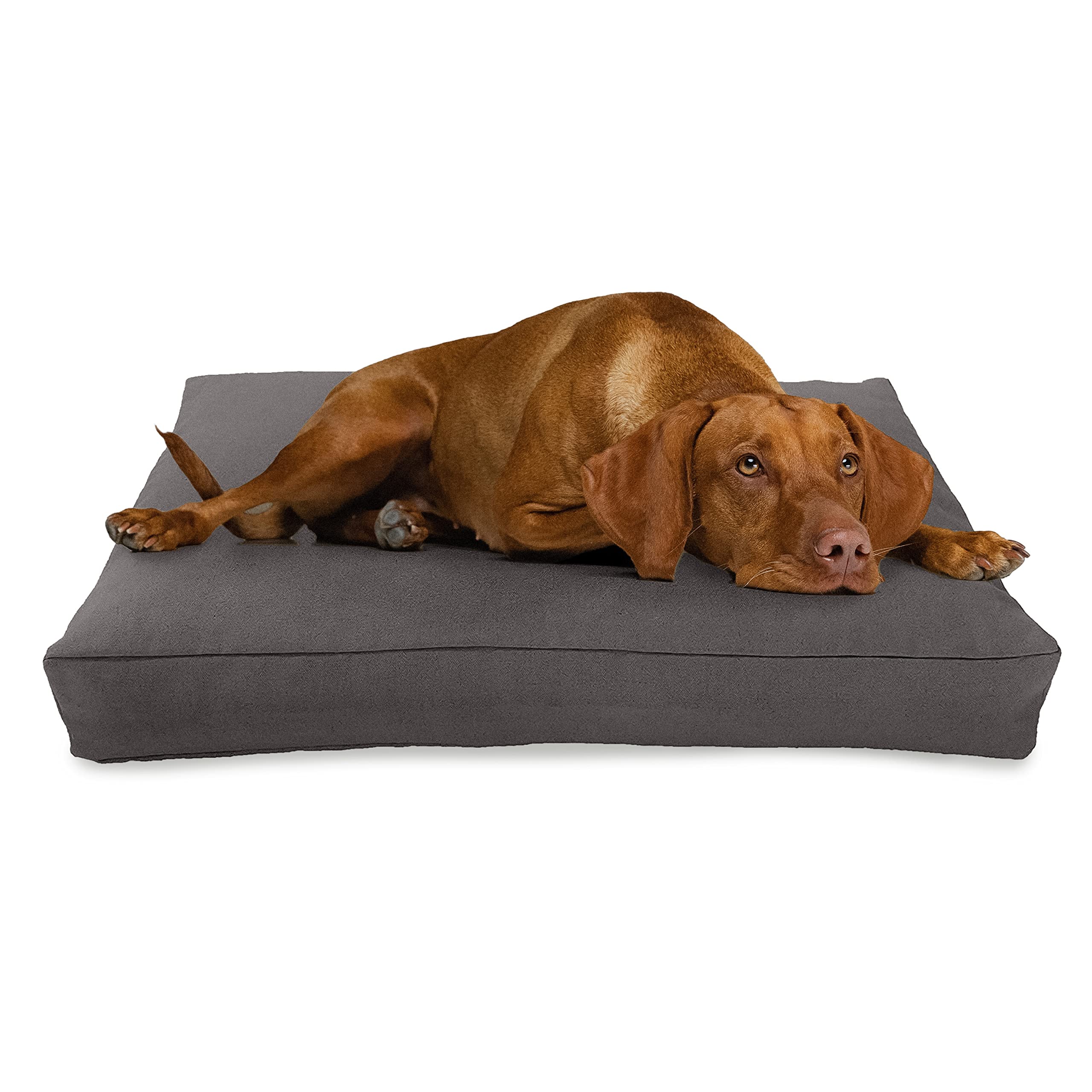 Premium Organic Hemp Dog Bed Large 42x28x5 - CertiPUR Certified Memory Foam - Removable Washable Cover - Shadow Gray - Orthopedic Support for Medium to Large Dogs - Perfect for Living Room, Bedroom or Crate