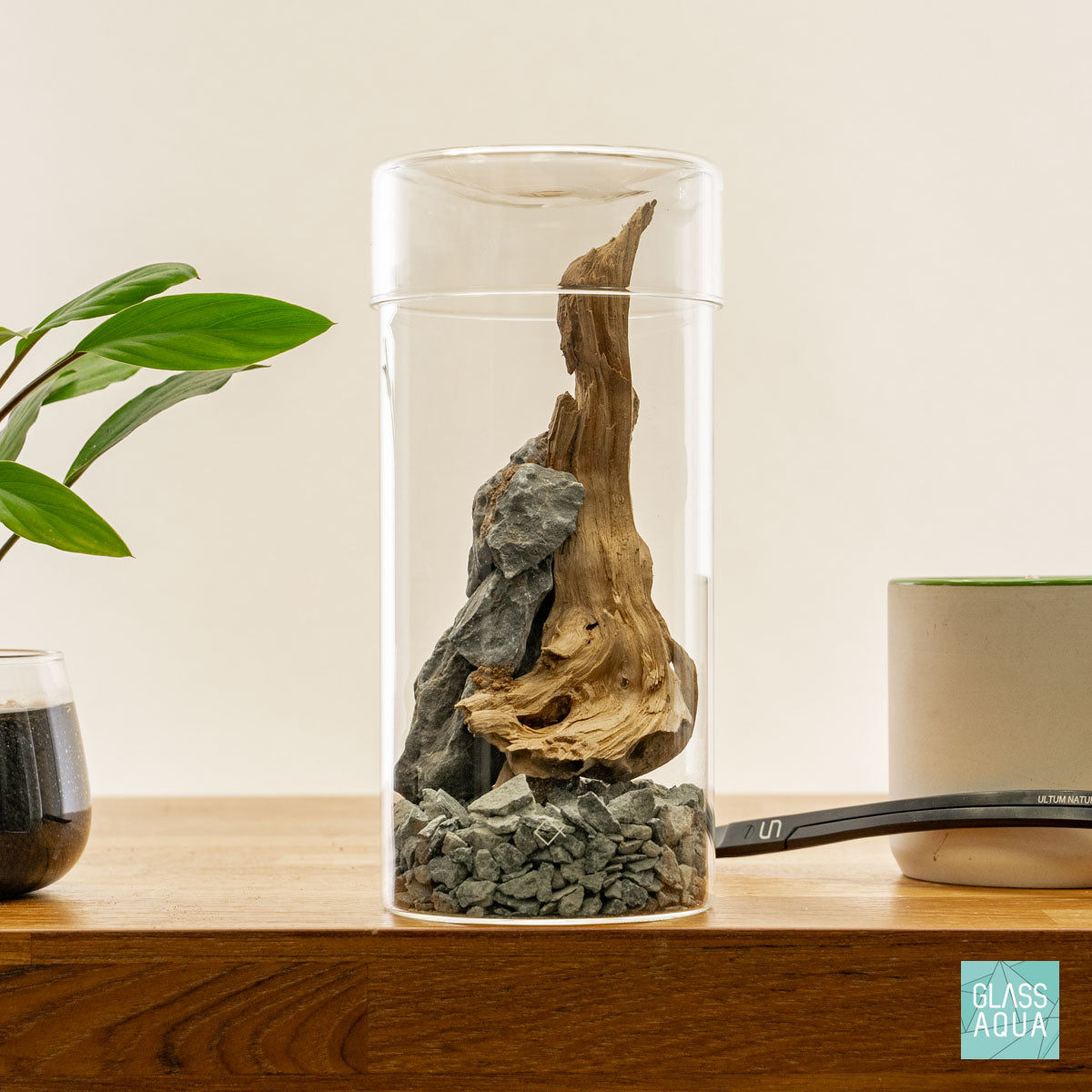 Miniature Terrarium Kit 006 - DIY Glass Garden with Live Plants & Decorative Stones for Home Office Decor | Perfect for Gifts, Desk Decorations & Relaxation Therapy