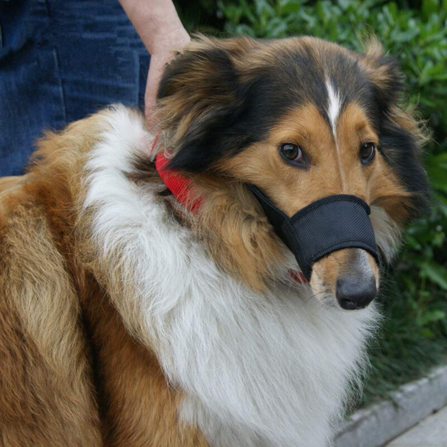 Adjustable Nylon Dog Muzzle for Small Medium Large Dogs - Quick Fit Pet Muzzle to Prevent Biting, Barking & Chewing - Black | Perfect for Training, Grooming & Vet Visits