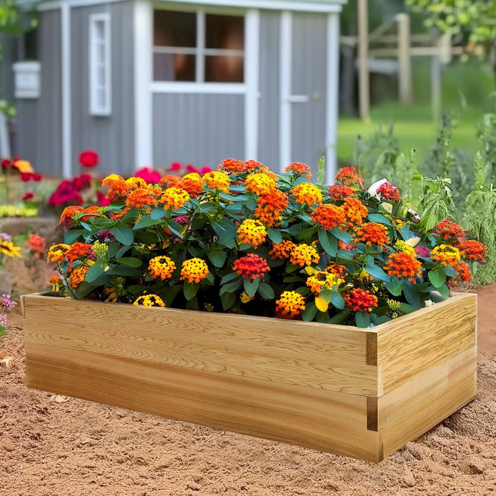All Things Cedar 4x2 Ft Elevated Garden Box - Stackable & Expandable Raised Bed Planter for Vegetables, Herbs & Flowers | Perfect for Patio, Backyard & Urban Gardening