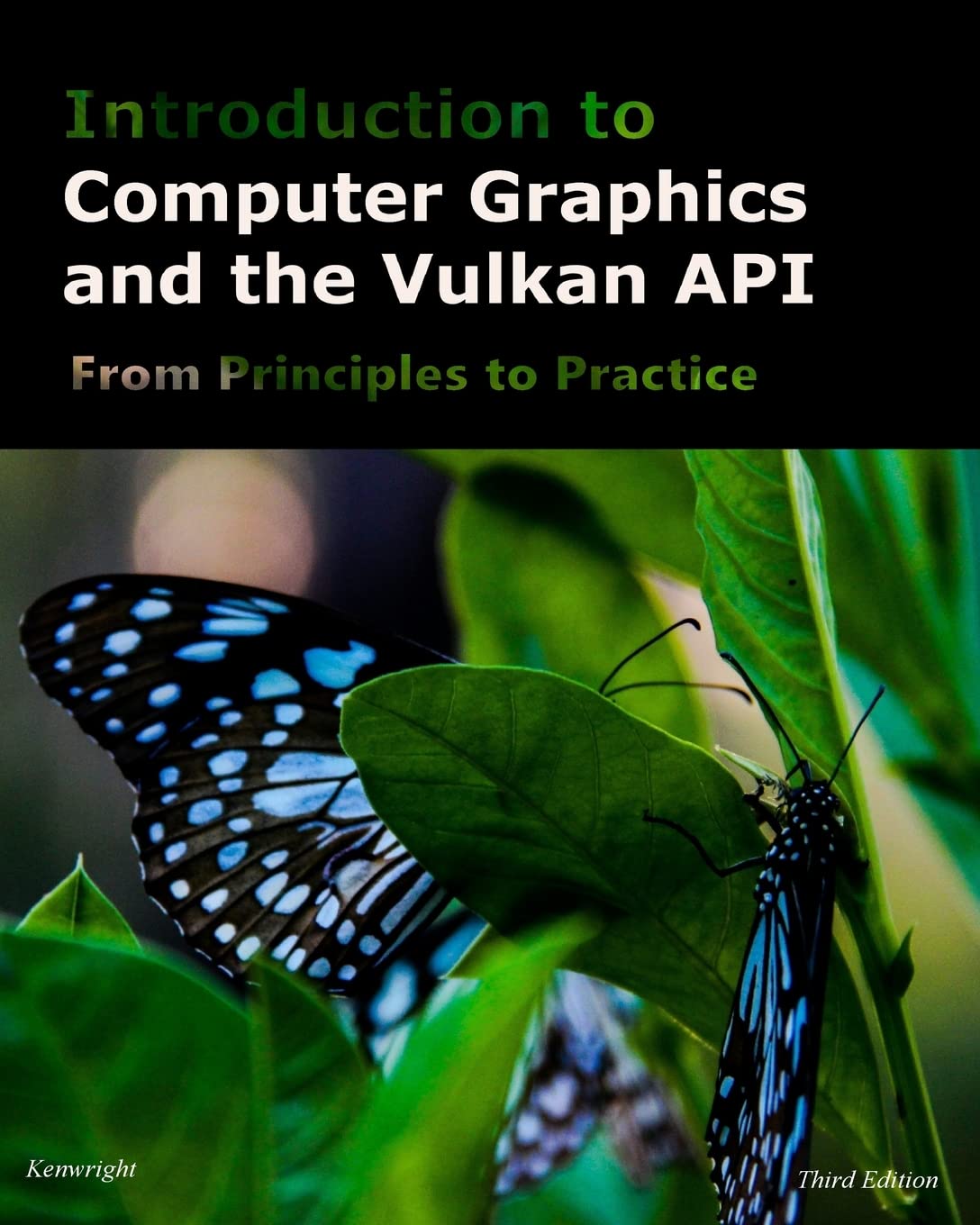 Introduction to Computer Graphics and the Vulkan API: Third Edition - Learn 3D Rendering for Game Development & VR Applications