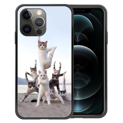 KungFu Yoga Cat