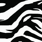 Zebra Print 2
