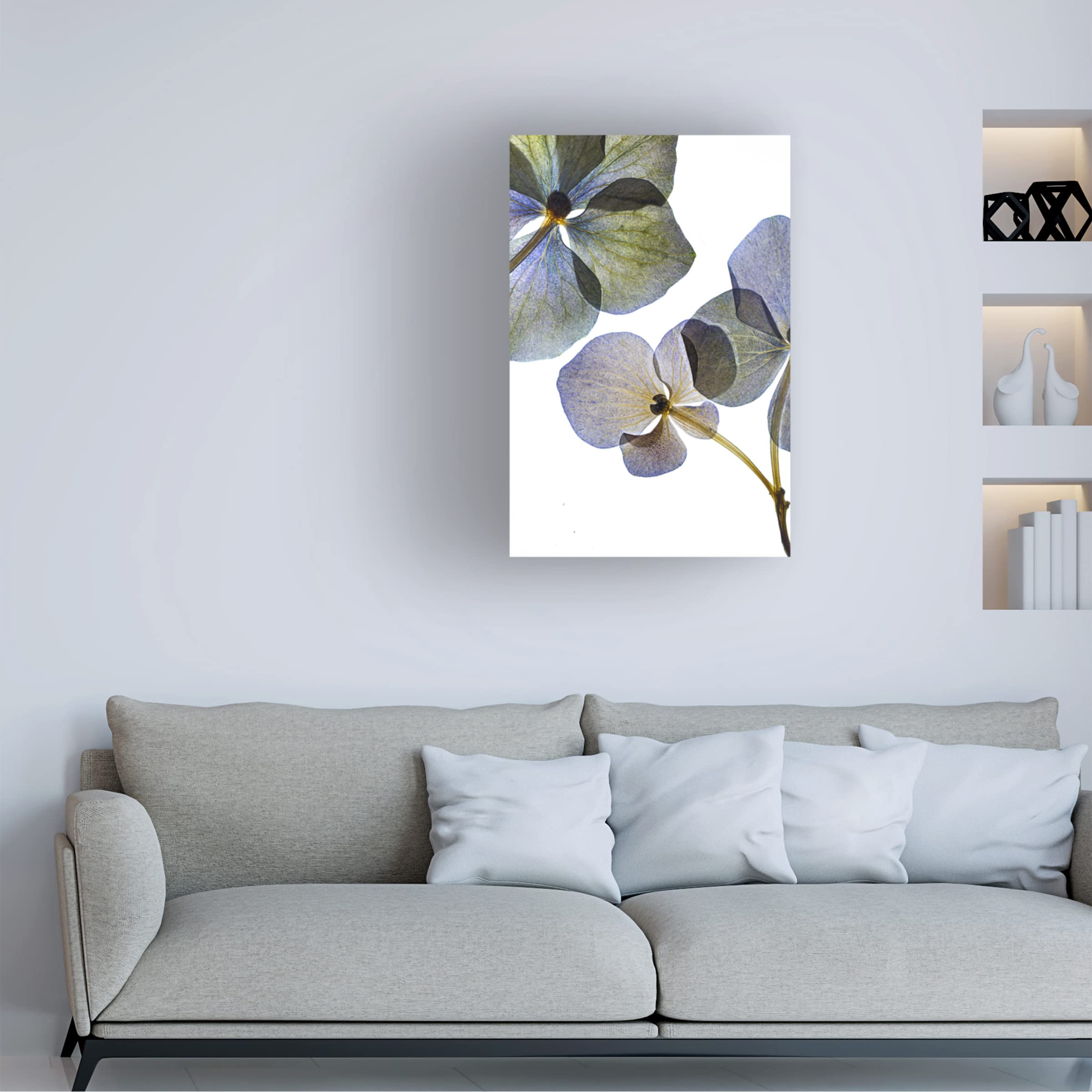 Trademark Fine Art 'Botanical 8' Canvas Wall Art Print by Lenka - Nature Inspired Floral Decor for Living Room, Bedroom & Office