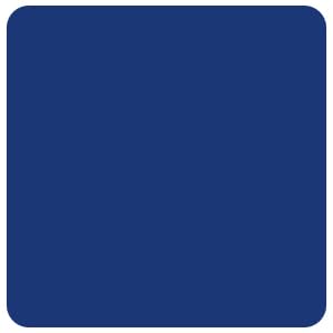 CROWN SHADES 10x10 Pop Up Canopy Tent - Instant Setup Beach Shade with Carry Bag - UV Protection Silver Coated Top & Navy Blue Frame - Perfect for Outdoor Events, Camping, Picnics, Backyard Parties and Beach Trips