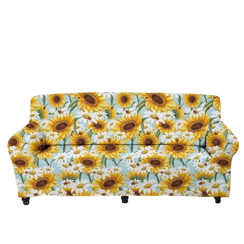 Sunflower Daisy