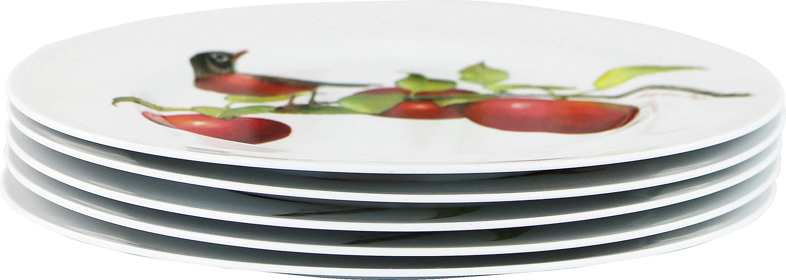 Reston Lloyd Harvest Apple by Sandy Clough - 6-Piece Melamine Salad Plate Set in White, Red & Green (Dishwasher Safe) - Perfect for Outdoor Dining, Picnics & Party Serving (Item# 72999set)