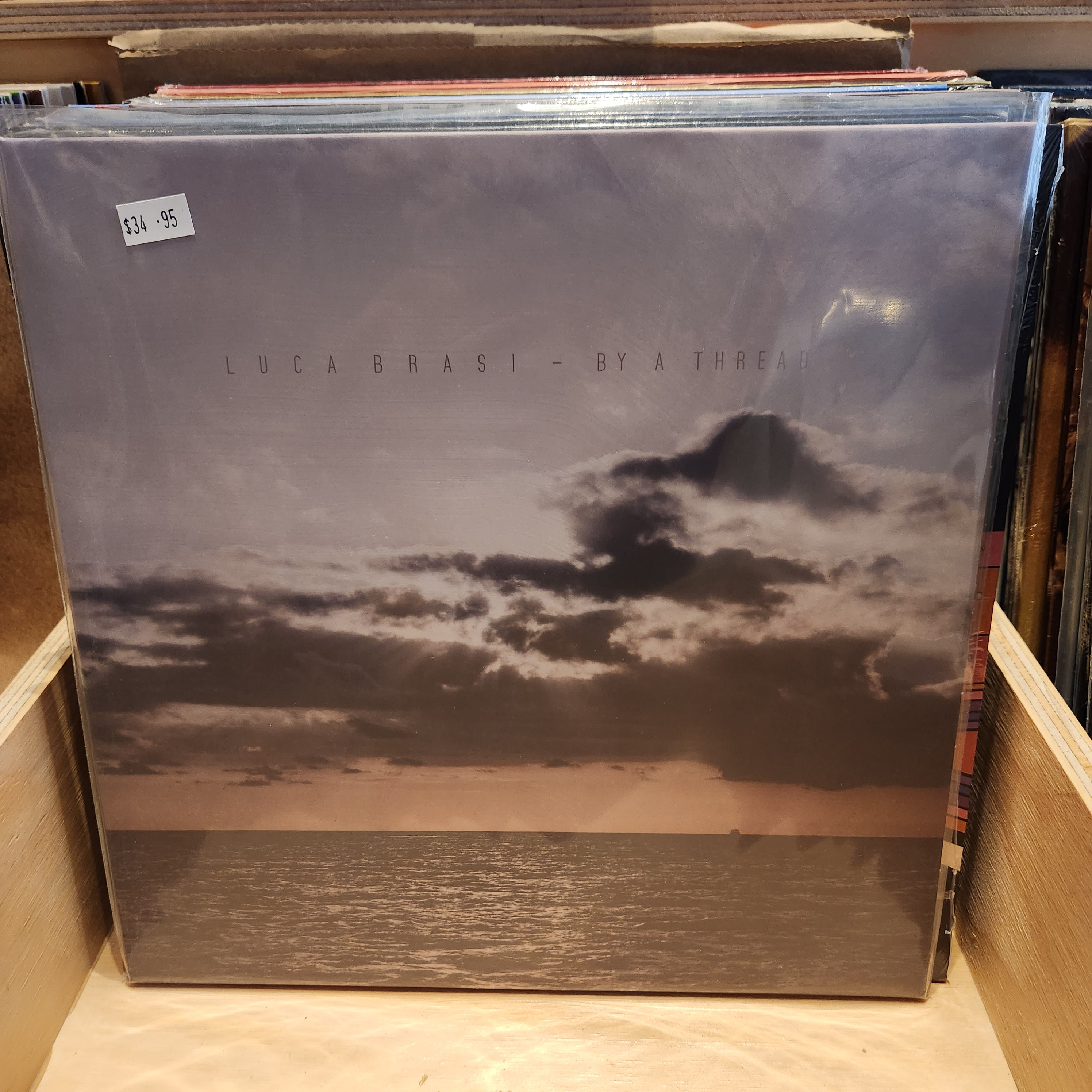 LUCA BRASI 'By A Thread' Vinyl LP Record - Punk Rock Music Album for Collectors & Music Lovers - Perfect for Home Listening, Gifts, and Vinyl Collections