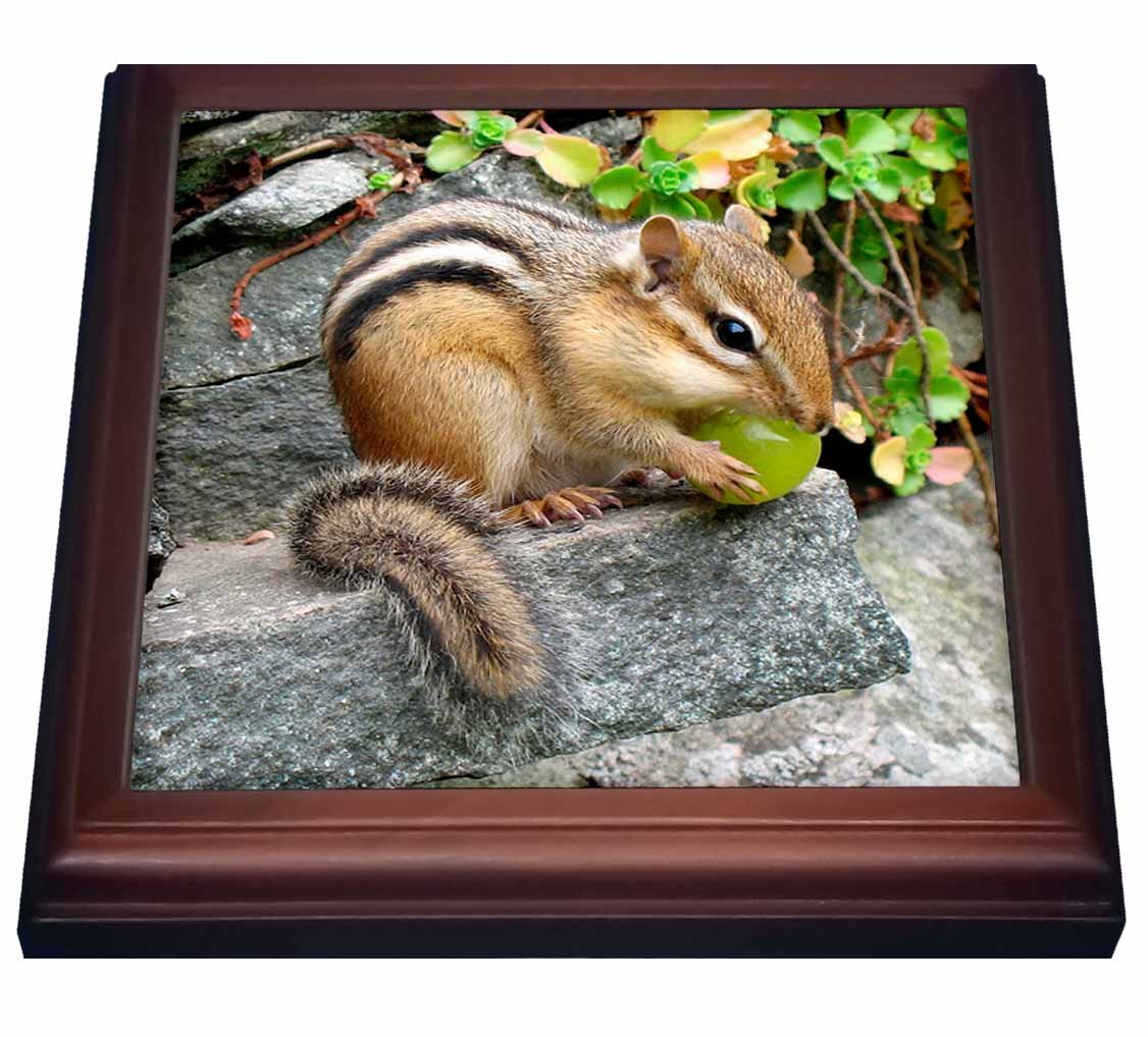 3D Rose Chipmunk Trivet with Ceramic Tile - 8 x 8 Inch Brown Heat Resistant Coaster for Kitchen, Dining Table, and Home Decor