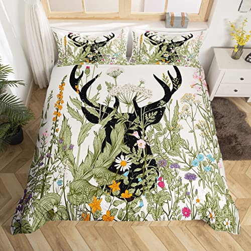 Deer