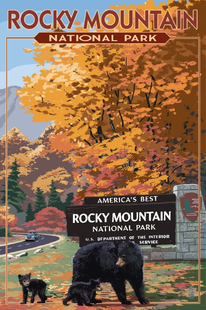 Black Bear and Cubs at Rocky Mountain National Park - 36x54 Giclee Gallery Print, Travel Poster Wall Art for Home & Office Decor | Nature Wildlife Photography, National Park Gifts