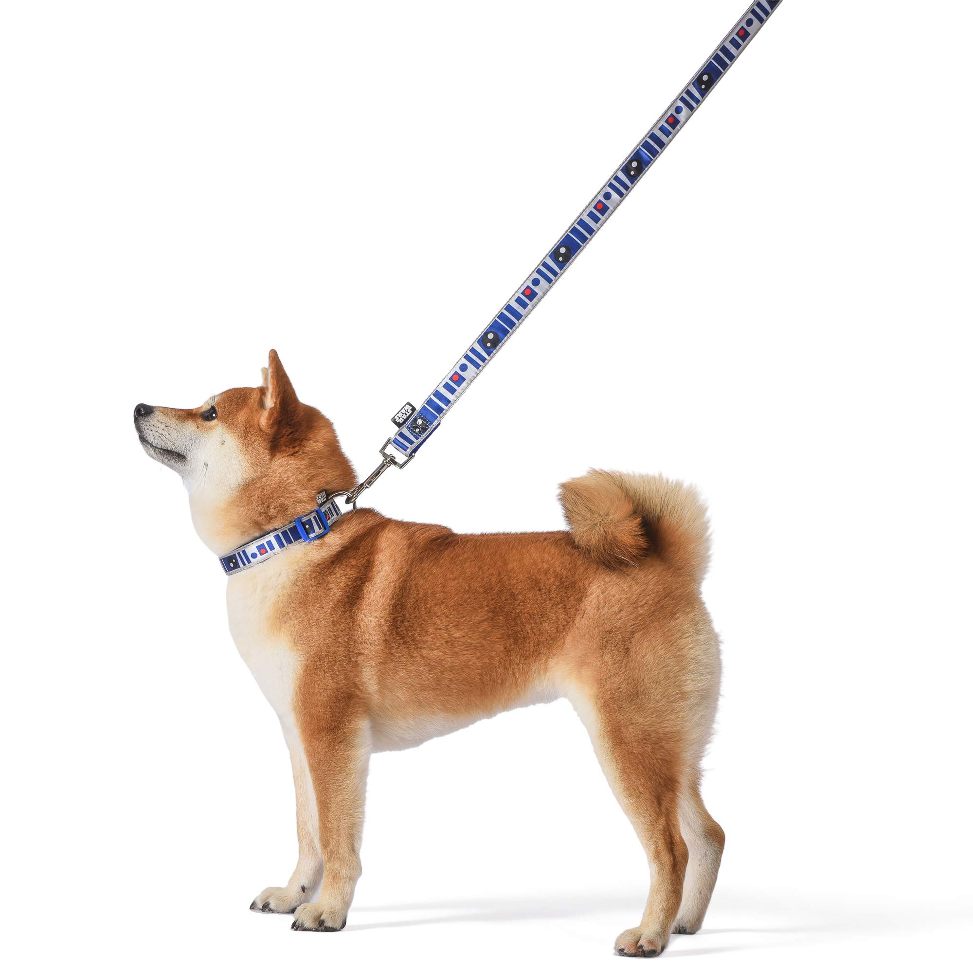 Star Wars R2D2 Dog Leash - 4ft Blue Nylon Pet Leash for Small Medium Large Dogs | Adjustable Durable Pet Lead with Strong Clip for Collars & Harnesses | Perfect for Walking, Training & Star Wars Fans | Official Licensed FF17249